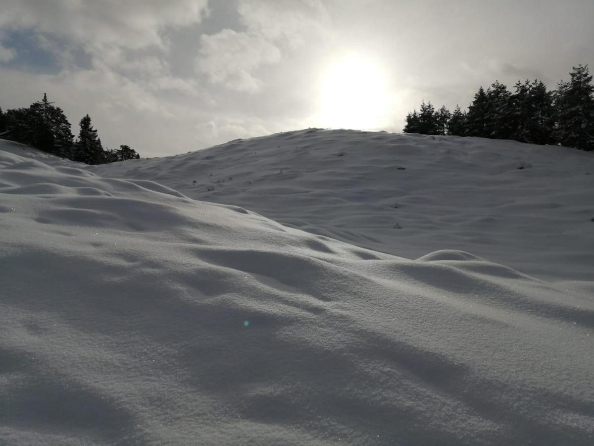 Bergblick Lejlighed Saalfelden Eksteriør billede